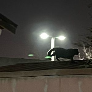 Meet your Posher, Maricza